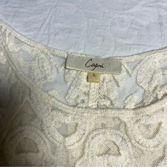 Capri Sioni Embroidered Mesh Tank L with Slit Halfway Up the Back Beige Large - Picture 13 of 13